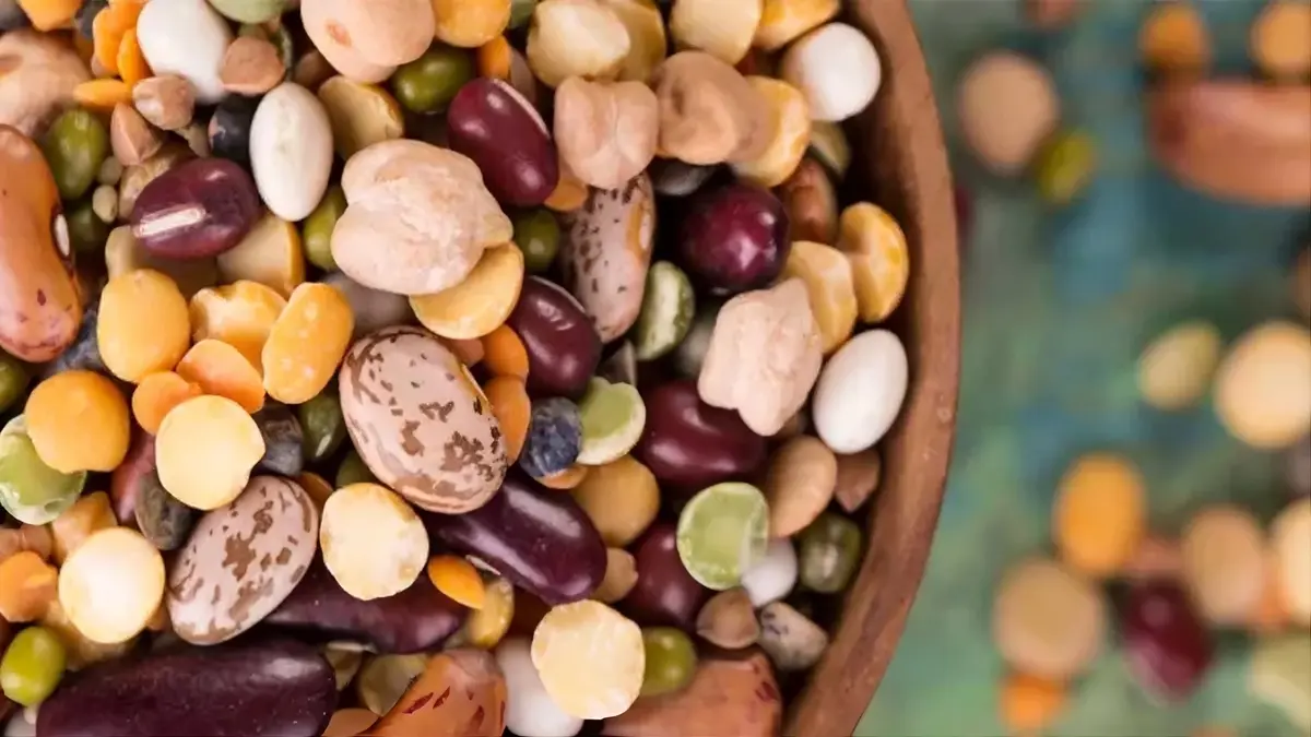 Hero Image for article Lectines et Anti-Nutriments : Faut-il Vraiment S’en Méfier ? Analyse Scientifique Complète