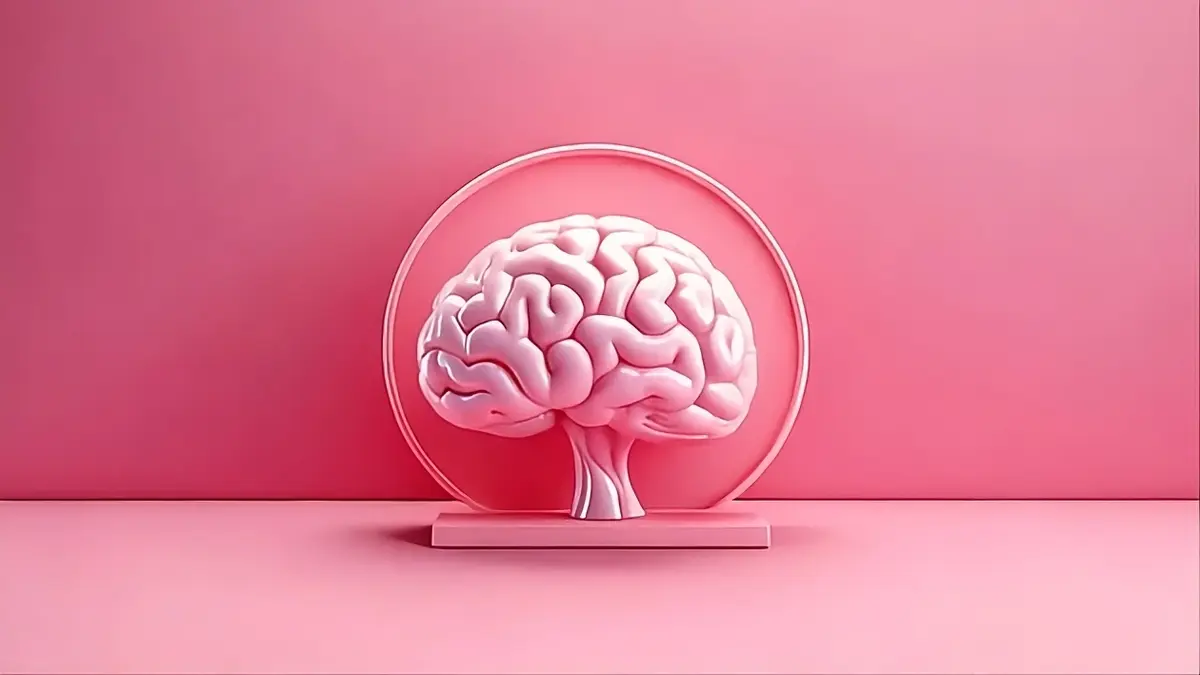 Neuroplasticité Adulte Accélérée : Méthodes Validées Scientifiquement en 2026