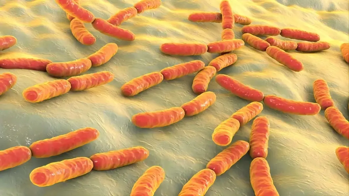 Spermidine : Bienfaits Réels, Dangers Potentiels et Dose Efficace Selon la Science